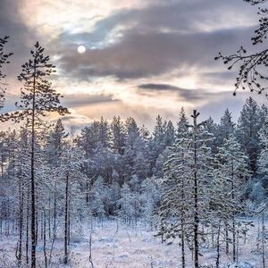 Meet your Posher, Римма